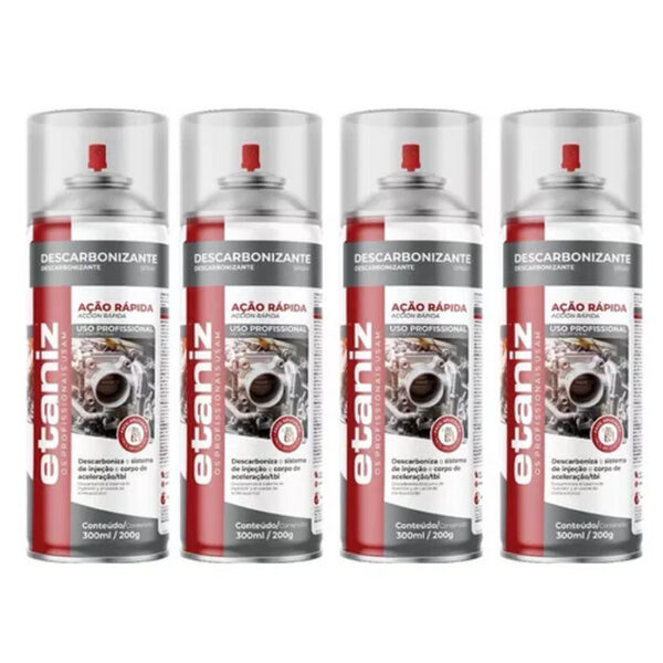DESCARBONIZANTE SPRAY 300ML/200G